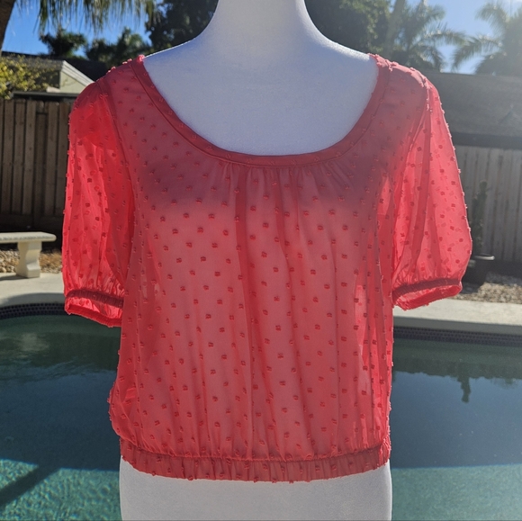 NEW Socialite Pink Sheer Blouse Size XS Feminine Romantic Cocquette Girl Summer - Picture 3 of 12
